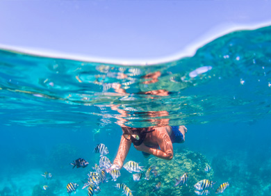 Fai snorkeling nella laguna di North Sound