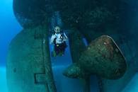 在 Kittiwake 沉船上潜水或浮潜