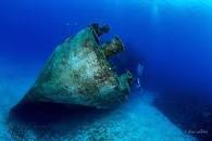 在 Kittiwake 沉船上潜水或浮潜