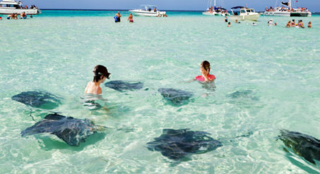 Cayman BOAT & YACHT CHARTERS